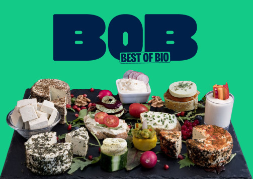 Lactofermentation : le végétal allié du microbiote 